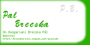 pal brecska business card