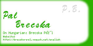 pal brecska business card